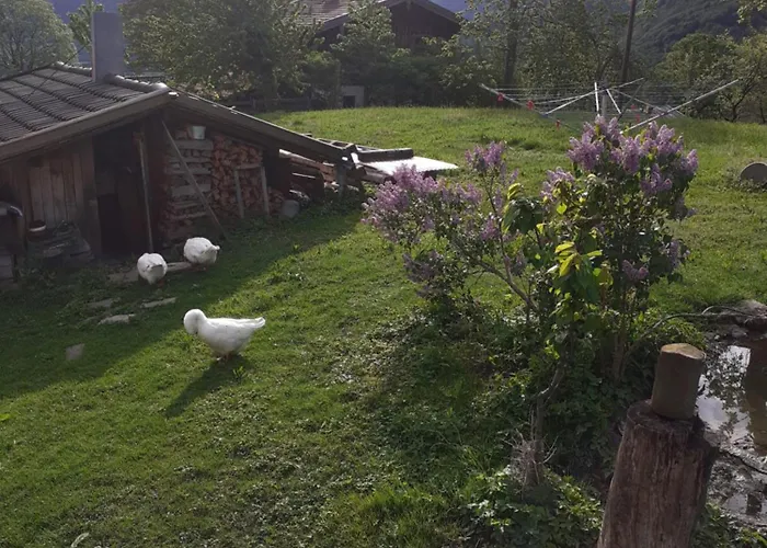 Berggasthaus Kraxenberger